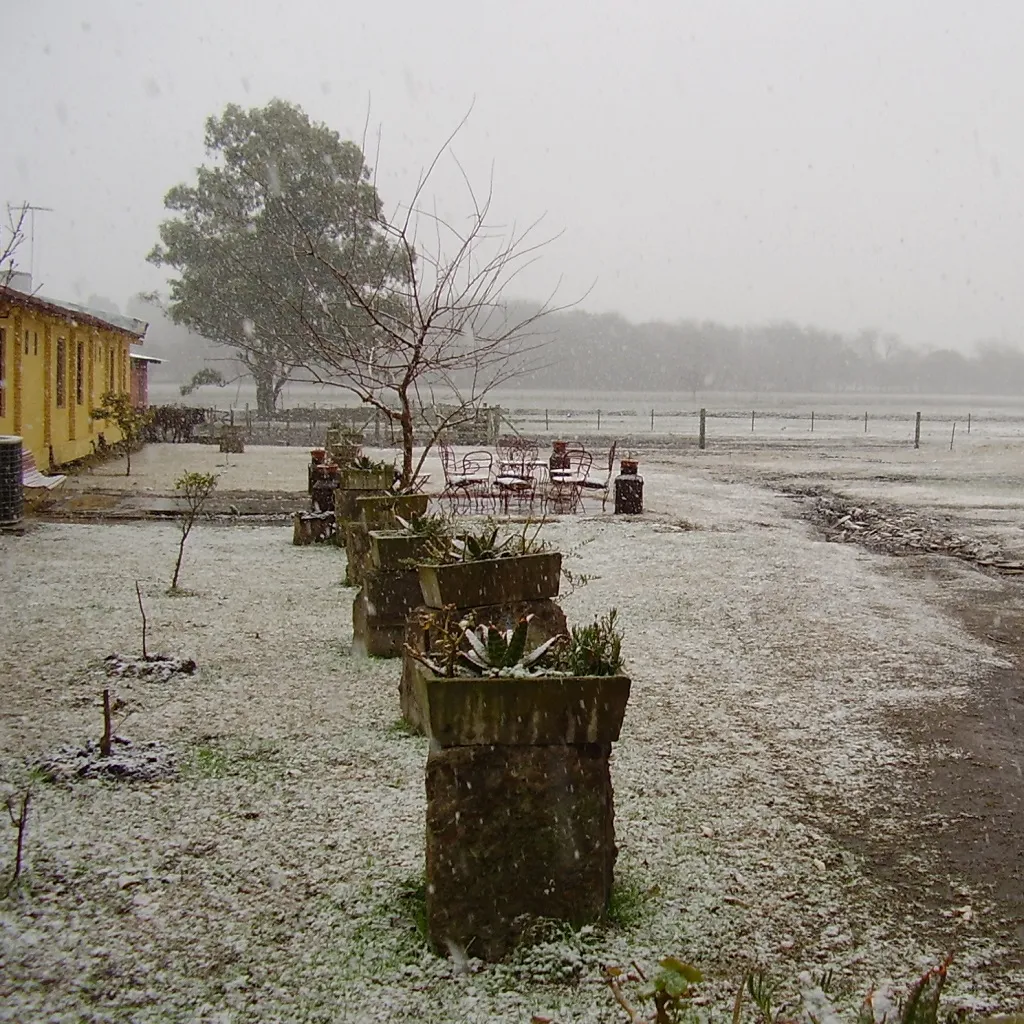 Nevada en Buenos Aires el 9 de julio de 2007